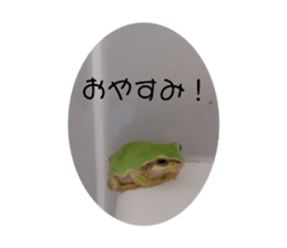 634001817