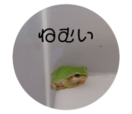 634001821