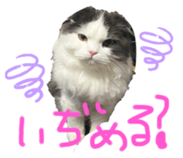 634008040