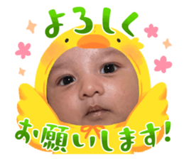 634050266