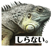 634050513