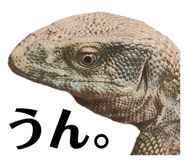 634050514
