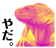 634050516