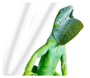 634050524