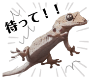634050526