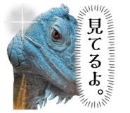 634050529