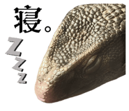 634050530