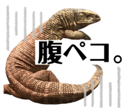 634050532