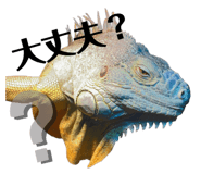 634050540