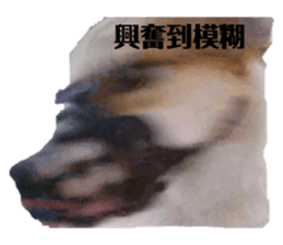 634084907