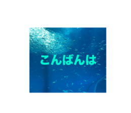 634104106
