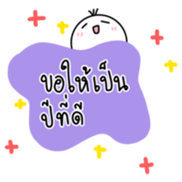 634113116