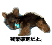 634116431