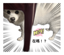 634126322