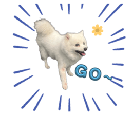 634126419