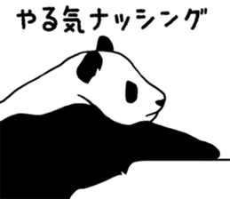 6341272