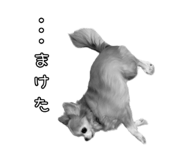 634193625