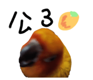 634331464