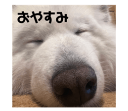634332601