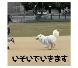 634332603