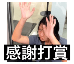 634337204