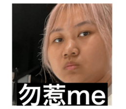 634337213