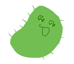 634343257