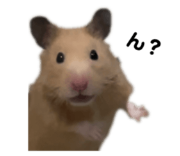 634345734