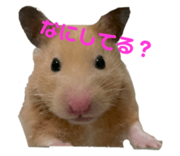 634345738