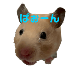 634345739