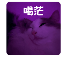 634392695