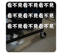 634392702