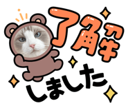 634397068