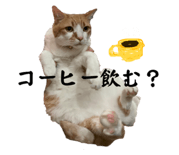 634398379