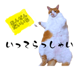 634398397