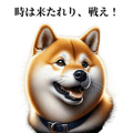 634425028