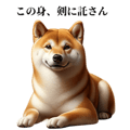 634425031