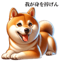634425034