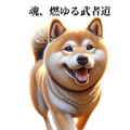 634425037