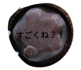 634437748