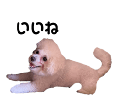 634449363