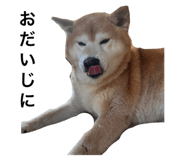 634449433
