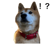 634449434