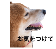 634449435