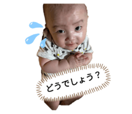 634461466