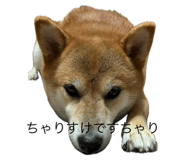 634492766