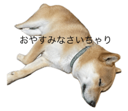 634492768