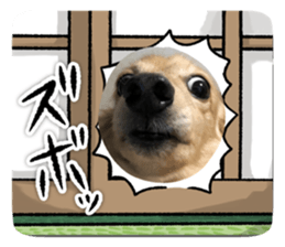 634493547