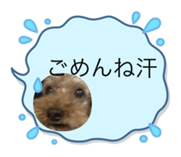 634496933