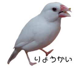 634505670